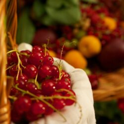 Mentine sanatetea consumand fructe